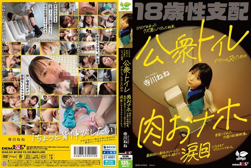 SDAB-341 แอบถ่าย น้องชายมอมเหล้าม.ปลายในห้อง หีเด็กน้ำแตก